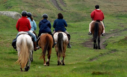 séminaire équitation en Auvergne