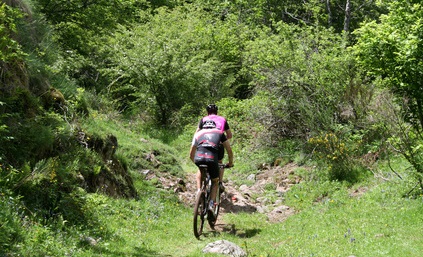 séminaire VTT en Auvergne